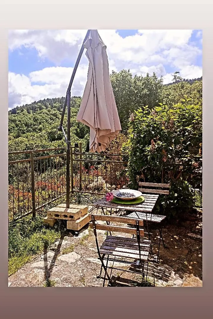 Casetta Nel Podere Di Massi Barberino di Mugello Italy