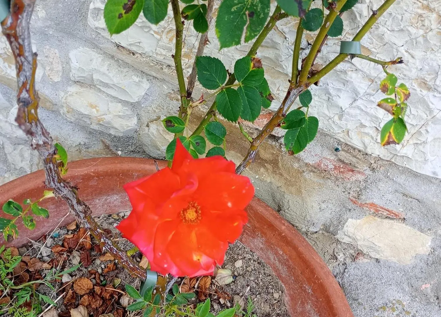 Casetta Nel Podere Di Massi Barberino di Mugello Apartment
